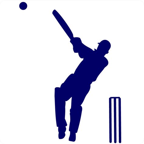 Cricket Stumps, Cricket Theme Cake, Badminton Photos, Boy Sports Bedroom, Cricket Logo, Cricket Coaching, Birthday Morning Surprise, Cricket Poster, Beauty Care Products