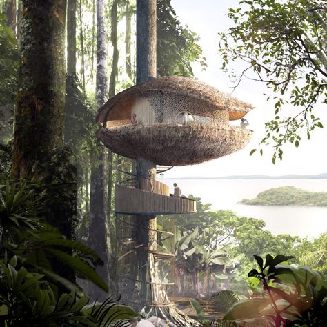 Baca Architects bases treehouse hotel for Panama eco resort on a cocoa pod Jungle Nature, Silo House, Eco Resort, Cool Tree Houses, Eco Hotel, Eco Architecture, Tree House Designs, Nature Architecture, Green Architecture