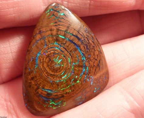 Opalized Wood - Imgur Need to figure out how to do this in PC Fossilized Wood, Precious Metal Clay, Polymer Clay Tutorial, Petrified Wood, Gems And Minerals, Boulder Opal, Polymer Clay Jewelry, Clay Jewelry, Class Ring