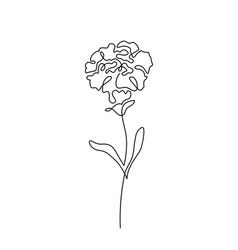 Carnation Drawing Simple, Carnation Line Drawing, Carnation Drawing, Flower Vector Illustration, White Carnation, Art Time, Flower Vector, Flower Sketches, Carnation Flower