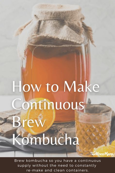 A great way to brew kombucha so you have a continuous supply without the need to constantly re-make and clean containers. Continuous Brew Kombucha, Easy Sauerkraut Recipe, Blogger Ideas, How To Brew Kombucha, Homemade Kombucha, Kombucha Recipe, Homemade Sauerkraut, Fermented Tea, Healthy Probiotics