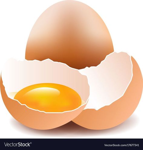 Eggs Image, Egg Pictures, Egg Vector, Farm Preschool, Photo Elements, Food Clipart, Kids Watercolor, Food Clips, Recipe Card