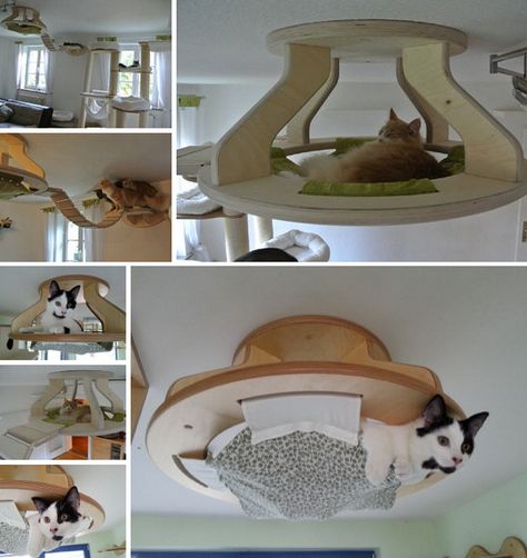 Katt Diy, Diy Chat, Cat Towers, Cats Diy Projects, Cat Playground, Cat Hammock, Cat Enclosure, Cat Shelves, Cat Climbing