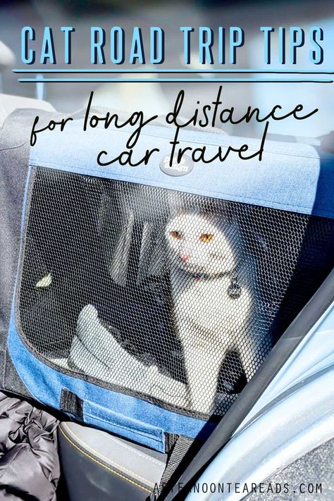 cat in a car in a carrier during a long distance road trip Cat In A Car, Road Trip Tips, Cat Travel Carrier, Long Car Trips, Canadian Road Trip, Camping With Cats, Cat Ownership, Cat Proofing, Adventure Cat