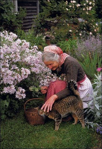 Tasha Tudor, The Tudors, Marjolein Bastin, Afrikaanse Kunst, Old Lady, Old Woman, Cat People, 인물 사진, Crazy Cat Lady