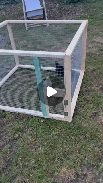 Diy Coop, Baby Chicks, July 12, Chicken Coop, Coop, Diy Outdoor, Baby Animals, Roof, Chicken