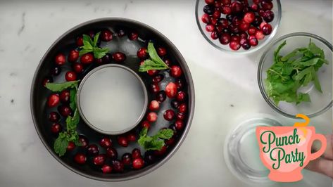 How to make an ice ring for your punch bowl Punch Bowl Drinks, Iced Tea Punch, Punch Party, Wine App, Sangria Punch, Ice Ring, Holiday Punch, Christmas Punch, Party Punch