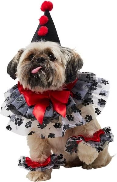 FRISCO Clown Dog & Cat Costume Accessory, Medium/Large - Chewy.com Paw Decorations, Clown Costumes, Tulle Ruffles, Cat Costume, Easy Costumes, Clown Costume, Cute Costumes, Cat Costumes, Large Cats