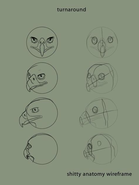 Bird Anatomy, Bane Of My Existence, Stylized Bird, 3d Dinosaur, Bird Head, Eagle Drawing, Eclectic Aesthetic, Bird Masks, Big Art