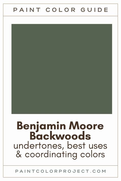 Looking for the perfect dark green paint color for your home? Let’s talk about Benjamin Moore Backwoods and if it might be right for your home! Forest Green Paint Color Behr, Colors That Go With Salamander Benjamin Moore, Mallard Green Benjamin Moore, Cabin Green Paint, Backwoods Color Palette, Fairmont Green Benjamin Moore, Bm Dark Green Paint Colors, Dark Green House Colors Exterior, Best Dark Green Exterior Paint Colors