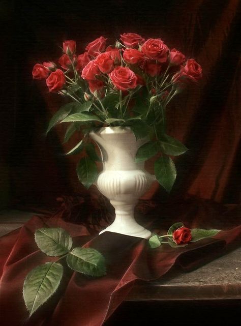 Red Roses In Vase, Roses In Vase, Dark Red Roses, Beautiful Red Roses, Rose Vase, Watercolor Flower Art, Watercolor Rose, Art Poses, Still Life Painting