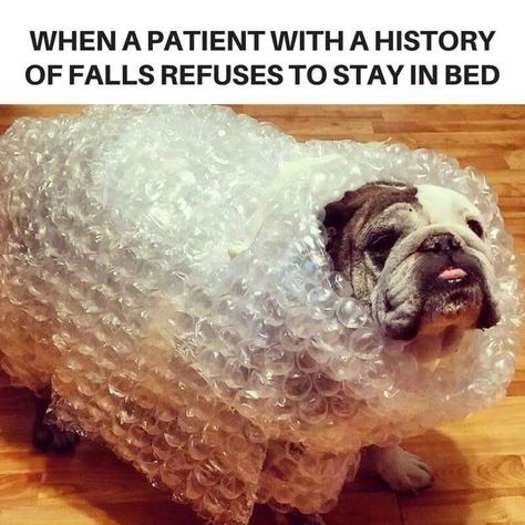 37 Memes That Perfectly Sum Up The Daily Struggles Of Nurses Healthcare Memes, Cna Humor, Hospital Humor, Nursing Fun, Nurse Jokes, Fall Risk, Nursing Humor, Nursing Life, Healthcare Humor