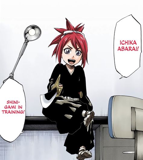 Ichika Abarai, Renji Abarai, Capcom Art, Bleach Fanart, Anime Bleach, Bleach Characters, Concept Art Character, Bleach (anime), Bleach Manga