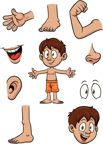 Cartoon kid and body parts. Vector illustration with simple gradients. Each element on a separate layer for easy editing. Body Parts For Kids, School Gallery, Body Preschool, Body Parts Preschool, Number Activity, Body Part Drawing, Body By Vi, Cartoon Body, Kids Part