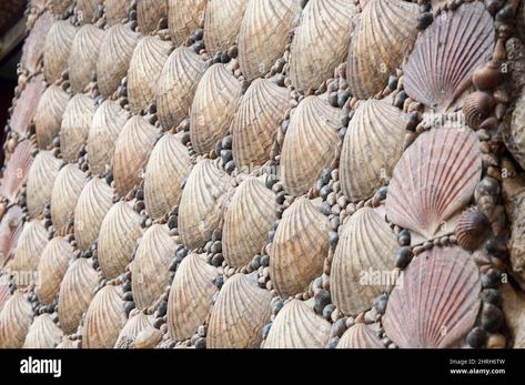 Coquille St Jacques Deco, Coquille St Jacques, Coquille Saint Jacques, Saint Jacques, Photo Stock, Wall Design, Shells, Restaurant, Sculpture