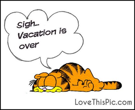 Sigh Vacation Is Over quotes quote garfield vacation quotes garfield quotes… Vacation Is Over Quotes, Vacation Over Quotes, Vacation Quotes Funny, Over Quotes, Garfield Quotes, Garfield Wallpaper, Cruise Quotes, Summer Beach Quotes, Funny Vacation