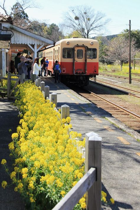 rural train in Chinba Japanese Train, Chiba, Train Station, Tokyo, Train, Japan, Beauty