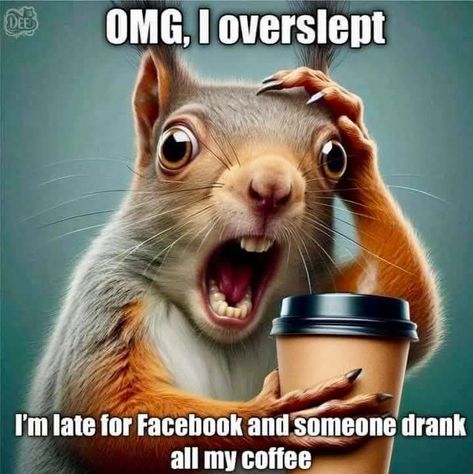 Friday Coffee Humor, Coffee Humor Hilarious Mornings Funny, Coffee Humor Hilarious, Happy Saturday Morning, Saturday Coffee, Humor Hilarious, Morning Humor, Coffee Humor, Pet Portraits