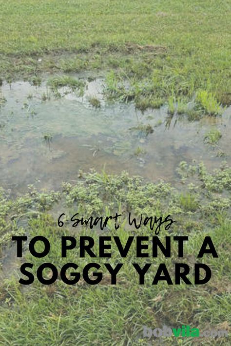 Soggy Yard, Flower Backyard, Yard Drain, Facts And Opinions, Truck Garden, Landscaping Along Fence, Landscape Drainage, Backyard Drainage, Yard Drainage