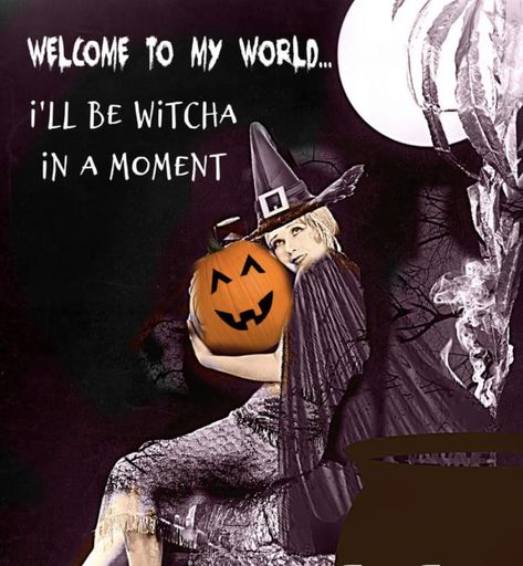 Witchy Thanksgiving, Witch Thanksgiving, Thanksgiving Witch, Witchy Sayings, Halloween Humor, Purple Witch, Which Witch, Witch Quotes, Thanks Giving