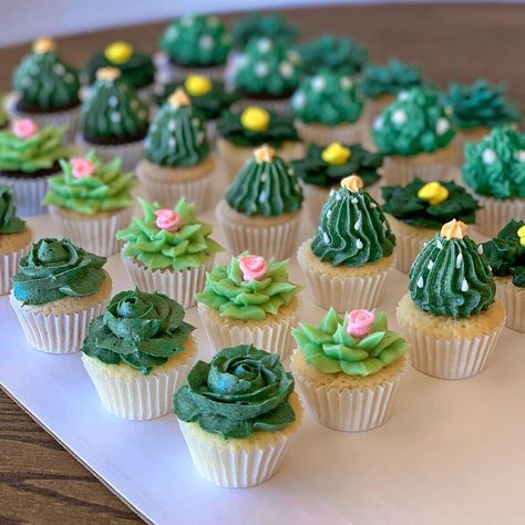 I don’t usually post the non-cake stuff I make, but these mini succulent cupcakes were too cute not to post! 🌵 I also wanted to give y’all… Cactus Cupcakes, Cactus Cake, Succulent Cupcakes, Succulent Cake, Cupcake Photos, Floral Cupcakes, Baby Shower Desserts, Creative Cupcakes, Gingerbread Recipe