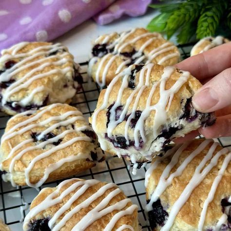 Bojangles Blueberry Biscuits (Copycat Recipe) - Dinner in 321 Bojangles Biscuits, Bo Berry Biscuits, Homemade Biscuits And Gravy, Dinner In 321, Homemade Gravy For Biscuits, Blueberry Biscuits, Fluffy Biscuits, Biscuit Bread, Biscuit Rolls