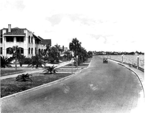 Florida Memory - View down Bayshore Boulevard - Tampa, Florida Tampa Book, Vintage Tampa Florida, Florida Nostalgia, Bayshore Blvd Tampa, Old Florida Architecture, Busch Gardens Tampa, Historic Pictures, Florida History, Tarpon Springs