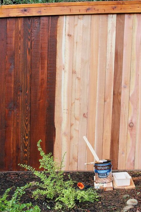 Thinking of staining a fence? Here are the lessons I’ve learned and 5 tips for staining a fence. Read on for the stain fence how to.﻿The state of the fence when we moved in. When we first moved into our house we were so focused on the interior, like finishing our fireplace remodel, bathroom tile, and kitchen breakfast nook . Our son was a busy toddler and during his naps I would carve out time to do some outdoor projects. I started to work outside when the weather turned warm and it… Stained Picket Fence Ideas, Stained Fence Ideas, Staining A Fence, Cedar Fence Stain, Stain Fence, Staining Wood Fence, Redwood Fence, Fence Stain, Fence Pickets