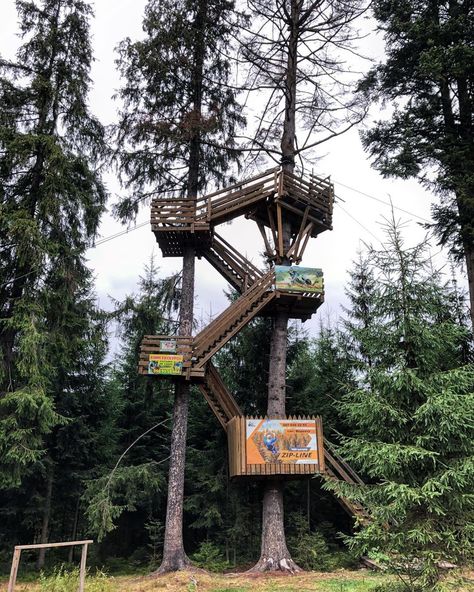 Breathe_a_Nature on Instagram: “Zip-line in forest 🌳 🌳 🌳 🌳 🌳 #breathanature #forestlove #zipline #ziplineadventure #ziplines #ukraine #vorokhta #purenature…” Zipline Adventure, Bamboo Architecture, Zip Line, Space Needle, Ukraine, Places To Visit, Forest, House Styles, Architecture