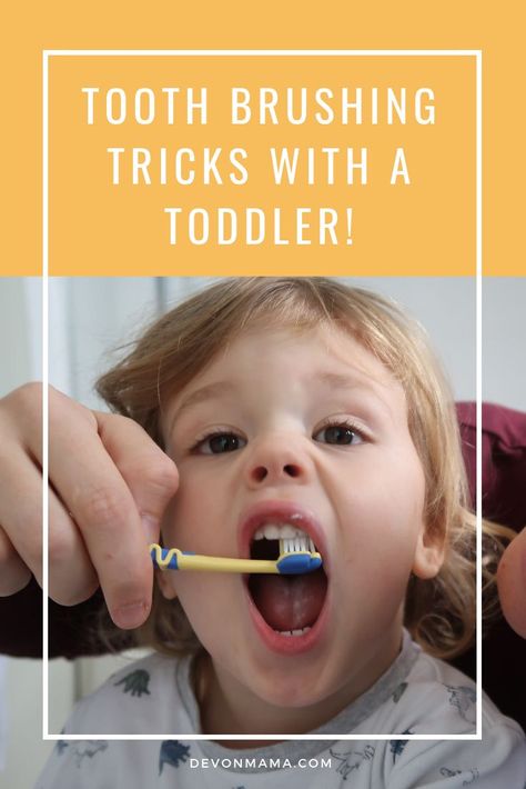 Make brush time fun with these easy to follow tricks. Get expert knowledge, quick tips and new ideas for getting your toddler or small child to brush their teeth without it being a chore. Toddler Teeth Brushing, Toddler Hacks, Brush Teeth, Pediatric Dentist, Parenting Toddlers, Teeth Care, Toddler Fun, Toddler Life, Positive Parenting