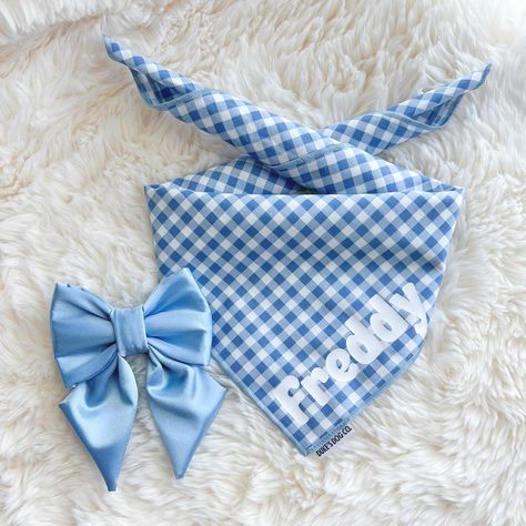 🦋😌🩵 Something blue for your pup’s next outing. 💙☺️ Shop now at dukesdog.co 🐶💕 #dogaccessories #dogbandana #handmade #smallbusiness #somethingblue Bandana Bow, Bandana Baby, Bow Collar, White Dog, Picnic Party, Dog Bows, White Dogs, Small Breed, Blue Gingham