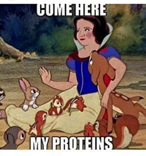 .: Always Eat Your Proteins Princess Workout, Gym Jokes, Gym Meme, Gym Humour, Gym Memes Funny, Fitness Memes, Ju Jitsu, Gym Quote, Workout Memes