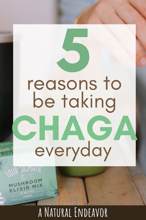 Chaga Benefits, Chaga Mushroom Benefits, Health Benefits Of Mushrooms, Mushroom Benefits, Four Sigmatic, Natural Face Cleanser, Increase Stamina, Improve Cognitive Function, What Is Meant