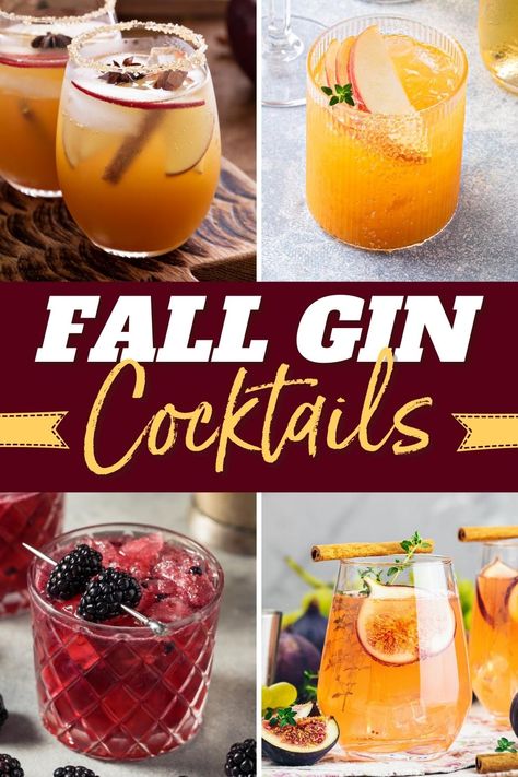 Kick your feet up, get cozy, and sip one of these gorgeous fall gin cocktails. They’re vibrant, tasty, and perfect for lifting your spirits on a cold day. Hendricks Gin Cocktails Fall, Gin Pitcher Cocktail Recipes, Fall Gin Sangria, Gin Cider Cocktail, Gin Cocktails For Fall, Gin And Rum Cocktails, The Best Mixed Drinks, Fall Gin And Tonic Recipe, Gin Thanksgiving Cocktail