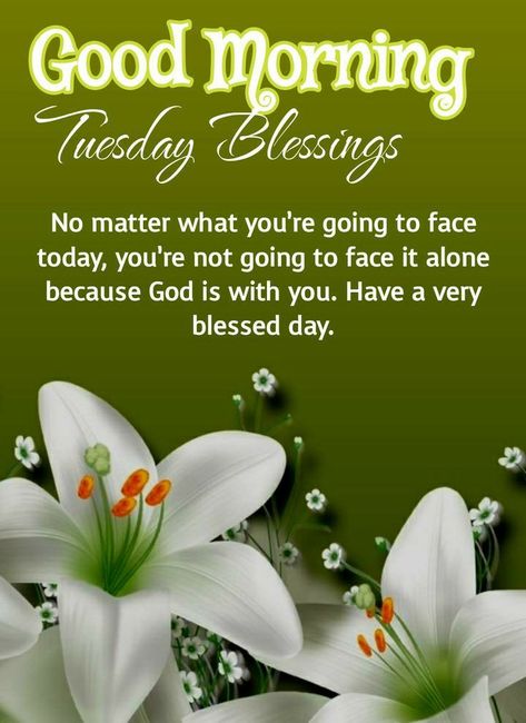 Good Morning Quotes For Tuesday, Good Morning Blessings Inspiration Beautiful, Tuesdays Blessings, Good Morning Quotes Tuesday, Tuesday Blessings Inspiration, Tuesday Morning Blessings, Tuesday Blessings Mornings, Good Morning Tuesday Quotes, Good Morning Tuesday Blessings