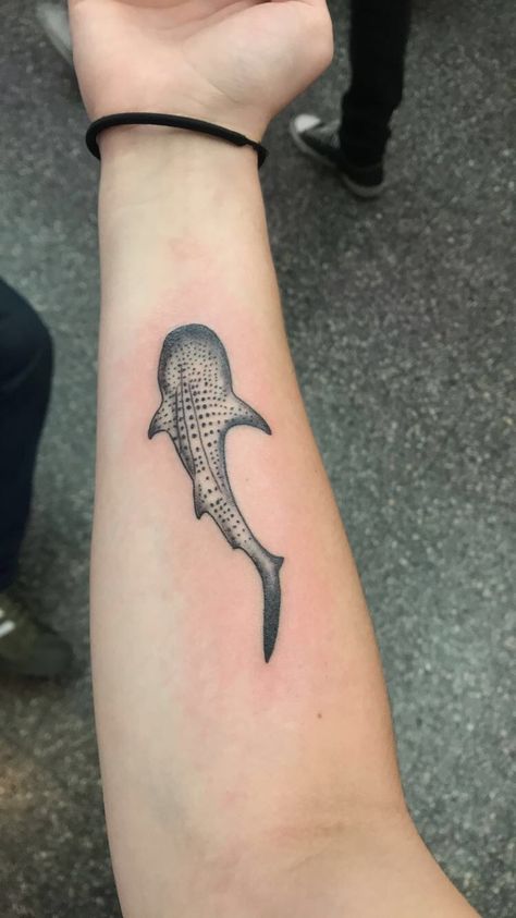 Small Whale Tattoo, Shark Tattoo Ideas, Whale Shark Tattoo, Whale Tattoo, Shark Tattoo, Apex Predator, Whale Shark, Inner Strength, Tattoo On