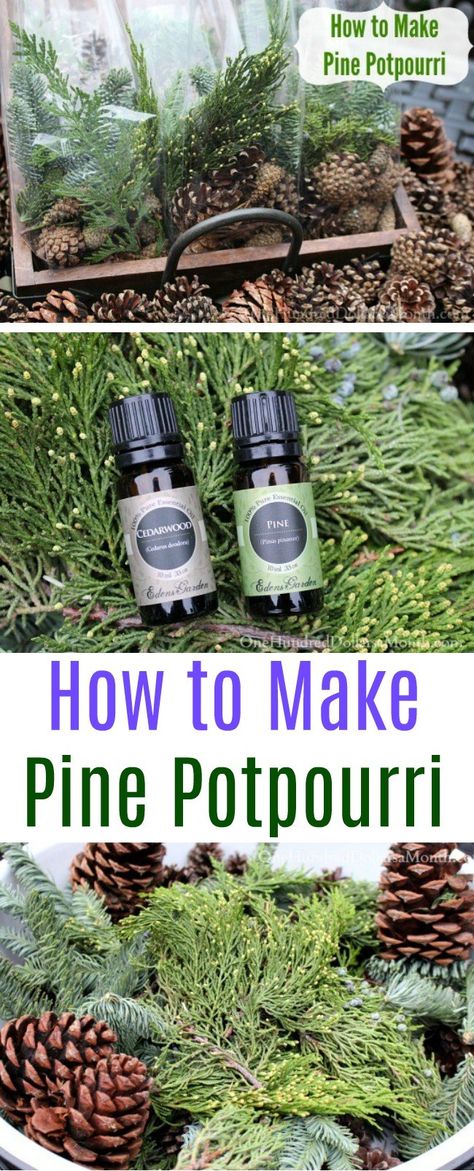 How to Make Pine Potpourri - One Hundred Dollars a Month Pine Potpourri, How To Make Potpourri, Orchard Ideas, Dried Potpourri, Peanut Butter Bars Recipe, Homemade Potpourri, Potpourri Gift, Simmer Pot Recipes, Stove Top Potpourri