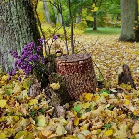 Basket Backpack, Witchy Cottage, Picnic Baskets, Autumn Colours, Wicker Bags, Amazon Handmade, Basket Bag, Bushcraft, Vegetable Tanned Leather