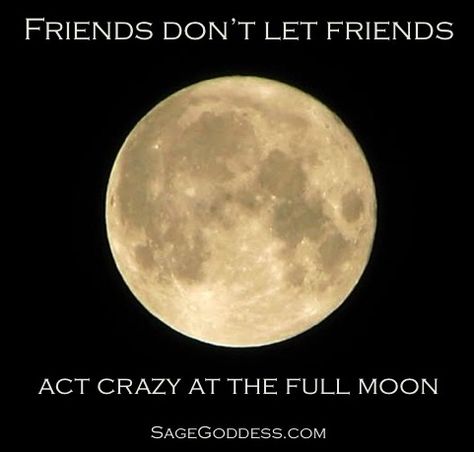 Be the fun kind of crazy but not the nasty kind of crazy at the full moon :) Learn more about moon magic at sagegoddess.com #fullmoon #crazy #lunacy #lunar #ritual #sagegoddess Full Moon Funny, Lunar Ritual, Full Moon Effects, Full Moon Blessings, Sage Goddess, Full Moon Day, Moon Day, Moon Magick, Moon Dance