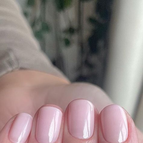 Elizabeth Rhiannon Fiander on Instagram: "Classy 🤍 Sweet candy breath @biosculpturegelgb @officialnavyprofessional for cuticle care. #nudemanicure #manicurist #biosculpture" Bio Sculpture, Cuticle Care, Classy Nails, Sweet Candy, Short Nails, Nails Inspiration, Manicure, Candy, Sculpture