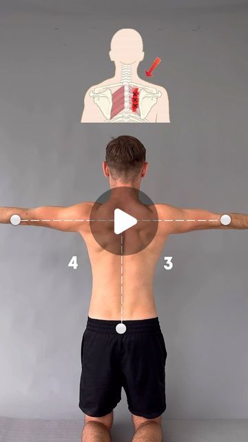 Scapula Exercises, Upper Back Exercises, Shoulder Muscles, Back Pain Exercises, Back Muscles, Back Exercises, Shoulder Workout, Back Pain, Pilates