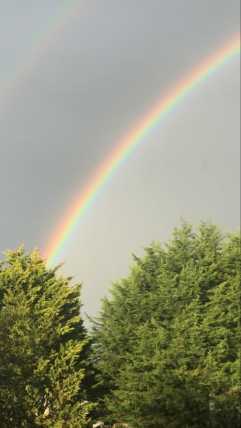 Real Rainbow Wallpaper, Nature Rainbow, Aesthetic Rainbow, Rainbow Pictures, Field Wallpaper, Rainbow Sky, Brown Hair Brown Eyes, Sky Pictures, Rainbow Aesthetic