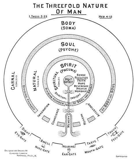 Threefold Humanity.  Recently we tend to boil down the human person into two parts - body/soul.  But the ancients saw three parts (as used in the Bible) - which is actually a much more functional and explanatory breakdown Clarence Larkin, Sacred Science, Spirit Soul, Spirit Science, Rudolf Steiner, Spirit World, Ancient Knowledge, What’s Going On, Book Of Shadows