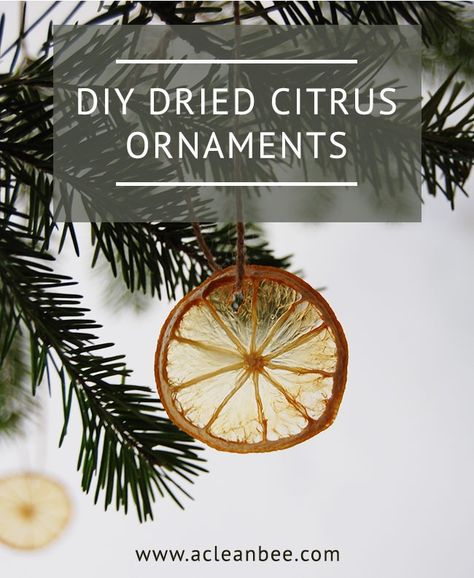 Dried Citrus DIY Christmas Ornaments Dried Citrus Ornaments Diy, Dried Citrus Ornaments, Dried Orange Ornaments, Dried Citrus, Orange Ornaments, Dehydrated Fruit, Eco Friendly Christmas, Fake Trees, Dried Oranges