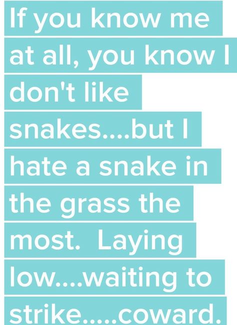 Snake In The Grass Quotes People, Snake In The Grass Quotes, Grass Quotes, Snakes In The Grass, Snake In The Grass, Mental And Emotional Health, The Grass, Emotional Health, Snakes