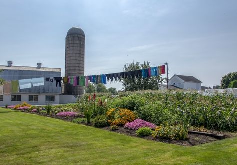 Amish House, Amish Farm, Plain People, Landscaping Tools, Amish Community, Herb Farm, Amish Recipes, Garden Recipes, Memorial Garden