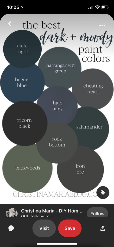 Dark Academia Blue, Dark Academia Kitchen, Dark Academia Living Room, Academia House, Dark Academia Interior, Dark Academia Home, Laundry Room Paint Color, Academia Bedroom, Hague Blue