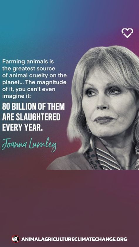 Famed actress and presenter Joanna Lumley is correct- there is no mercy or justice in a system that abuses so many, simply based on them being a different species than us. 😞 Animals are no different from us. They deserve our respect, protection, and compassion. We can all do our part to stop this cruelty from happening by going vegan today. 🌱🌱 Repost @milliondollarvegan Mercy For Animals, Joanna Lumley, Animal Agriculture, Different Species, No Mercy, Palm Oil Free Products, Going Vegan, Ecology, Farm Animals