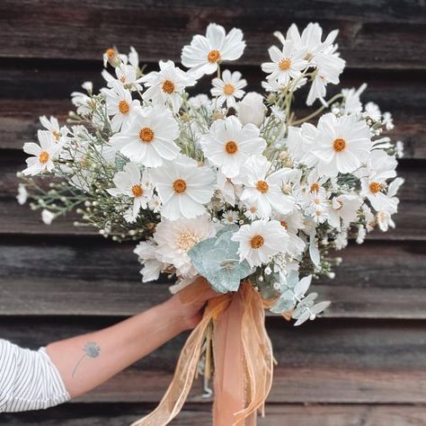 Yellow Daisy Wedding Bouquet, Poppy And Daisy Bouquet, Sunflower And Daisy Wedding Bouquet, Shasta Daisy Bouquet, White Daisy Flower Arrangements, Garden Elopement Ideas, Wild Daisy Bouquet, Daisy Wildflower Bouquet, Bridal Bouquet Daisies