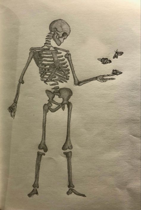 Skeleton Person Drawing, Scelotin Drawing Easy, Full Skeleton Drawing, Full Body Skeleton Drawing, Halloween Drawings Skeleton, Simple Skeleton Drawing, Scary Halloween Drawings, Halloween Drawing Ideas, Skeleton Drawing